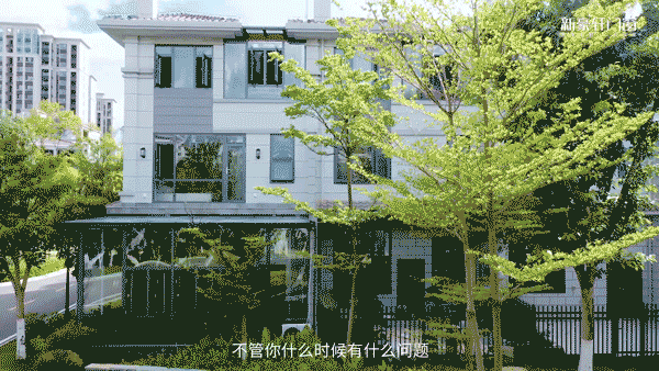 017.gif