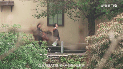 3.gif