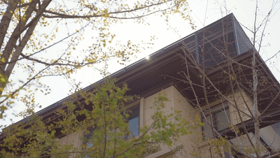 尊龙凯时南昌业主案例-纯净版11.10[00_00_00--00_00_06].gif